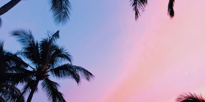 2000x3000 Beach Photography Sunset Palm Trees Digital Download | Preppy
