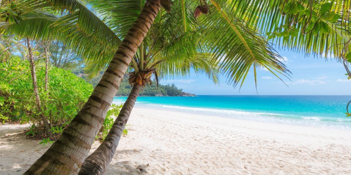2560x1920 Wallpaper Palm trees, beach, sea, tropical, summer 7680x4320 UHD