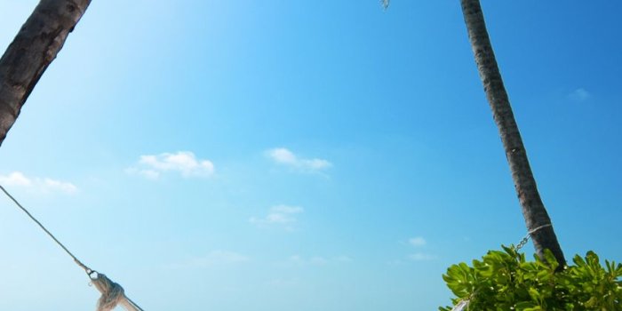 840x1160 Download 840x1160 wallpaper beach, holiday, summer, palm trees