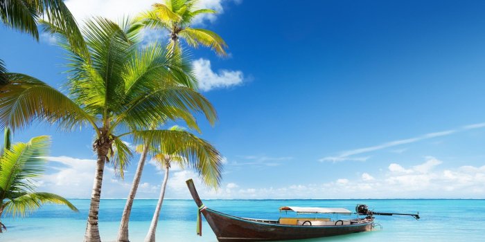 1920x1080 Beach Palm Tree Wallpapers