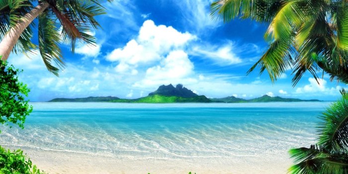 1920x1080 Palm Tree Beach Wallpaper (53+ images)