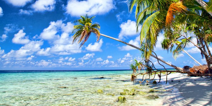 3840x2400 Download wallpapers tropical island, summer, palm trees, ocean