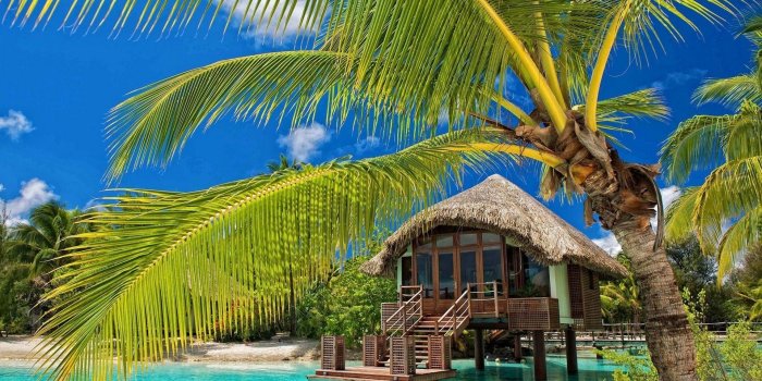 1920x1140 palm Trees, Resort, Beach, Tropical, Water, Bungalow, Sea, Summer