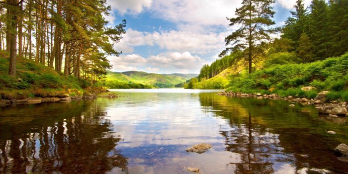 1920x1080 Download Wallpaper 1920x1080 lake, wood, trees, coast, brightly