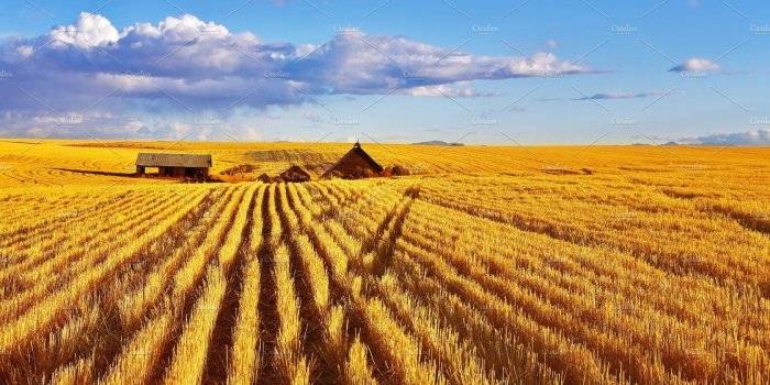 1820x1212 Solar autumn midday on Montana | Montana, Outdoor, Background for