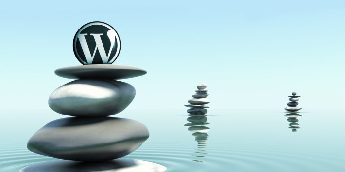 1920x1200 TOP 10 Awesome Wordpress Desktop Wallpapers | WPArt