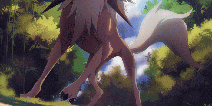 1024x1433 Lycanroc Wallpapers