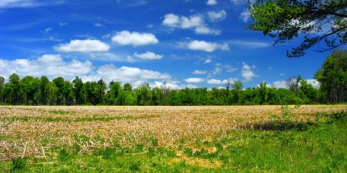 3072x2304 Green and gray grass covered field during daytime HD wallpaper