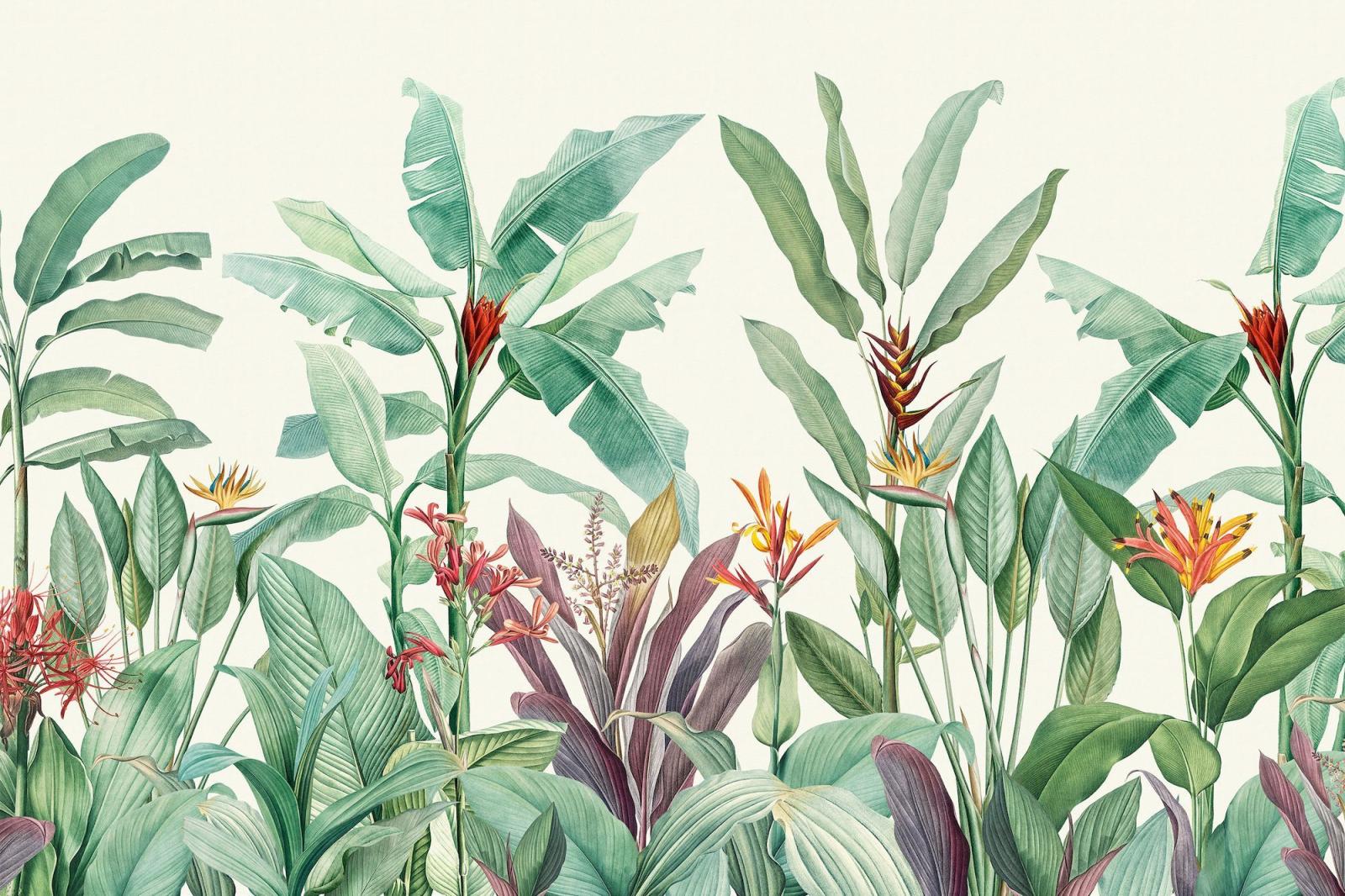 2000x1333 These beautiful wall murals are inspired by the botanical