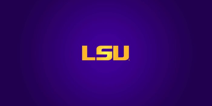 2560x1440 2015-16 LSU Athletics Wallpapers - LSU Tigers