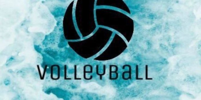 736x1234 Kapri on volleyball (With images) | Volleyball backgrounds