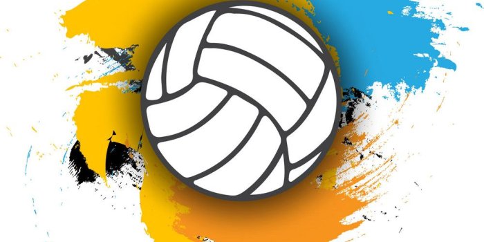 1000x1056 Free download Volleyball logo on the background of multi Vector