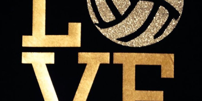 736x1091 Volleyball Wallpapers Images Photos Pictures Backgrounds