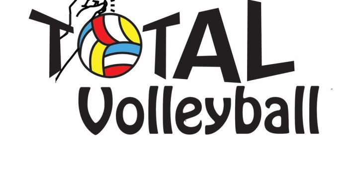 1024x791 Free download Total Volleyball Logo by Magicpixydust [1024x791