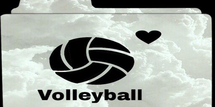 1280x720 volleyball wallpaper for Android - APK Download