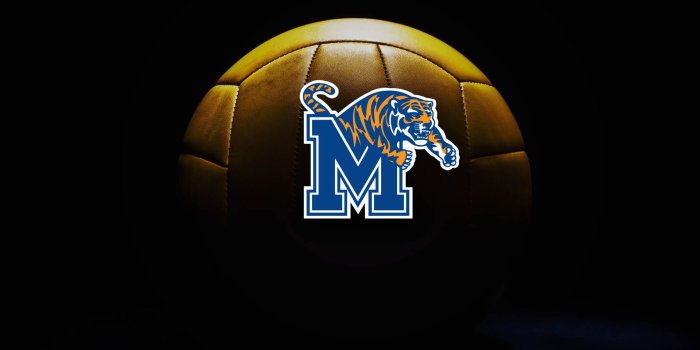 1920x1080 Wallpapers & Screensavers - Marketing and Communication - The