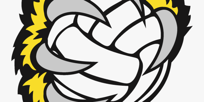 900x900 Volleyball Wallpaper Hd Iphone , Free Transparent Clipart - ClipartKey