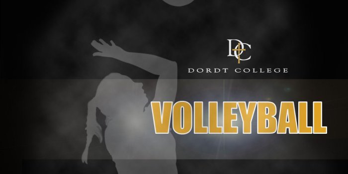 1280x1024 Volleyball Images Volleyball Hd Wallpaper And Background - Poster