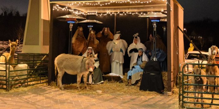 2048x1152 Rent Animals for your live nativity or Easter Program