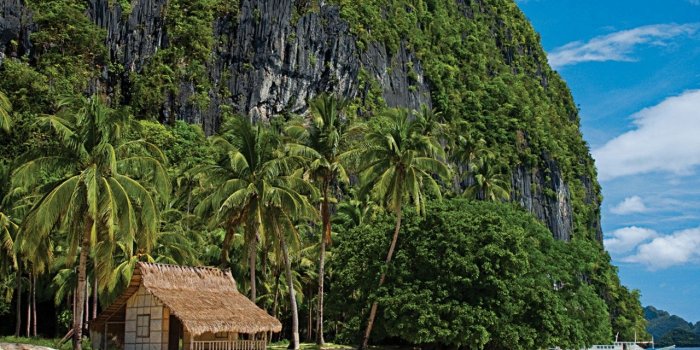 1280x1024 1280x1024 Palawan Philippines, reptile, beach, house desktop PC