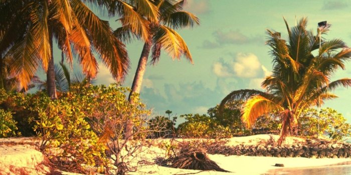 1440x2560 Google Nexus 6 & Nexus 6p, - Beach Wallpaper Home Screen, Download