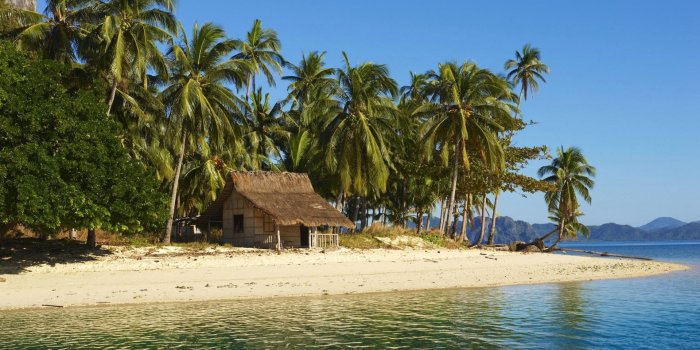 1920x1200 Beach tropical #7012222