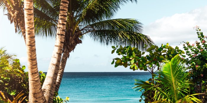 4016x5197 Beach Wallpapers: Free HD Download [500+ HQ] | Unsplash