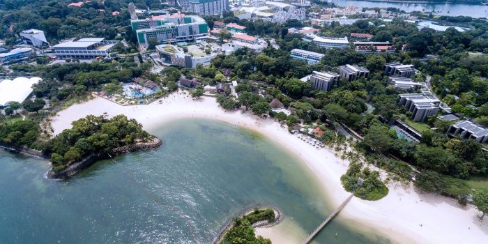 1332x850 Wallpaper bridge, home, trees, coast, the city, Singapore