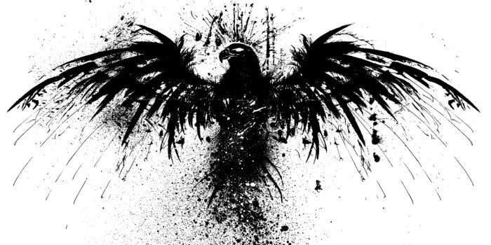 1920x1200 Free download Black White Wallpaper 1920x1200 Black White Birds