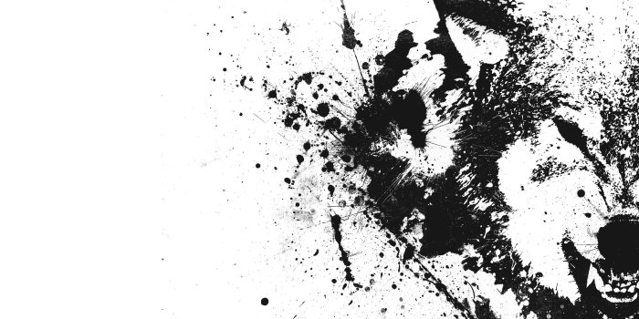 2560x1440 Epic Wolf Wallpapers - Top Free Epic Wolf Backgrounds