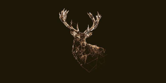 1366x768 Image result for deer hunting | Wallpaper desktop laptop, Laptop