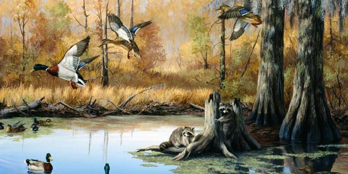 1920x1080 Duck Hunting Laptop Background - 1920x1080 Wallpaper - Ecopetit.cat