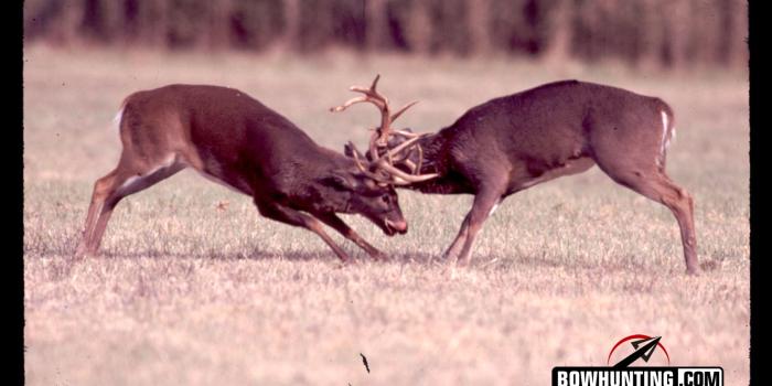 1680x1050 Best 45+ Bow Hunting Backgrounds for Computer on HipWallpaper