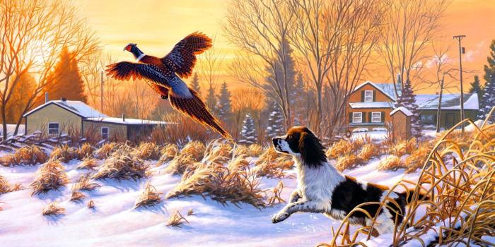 2513x1570 HD Duck Hunting Backgrounds HD Desktop Wallpapers Cool Smart Phone