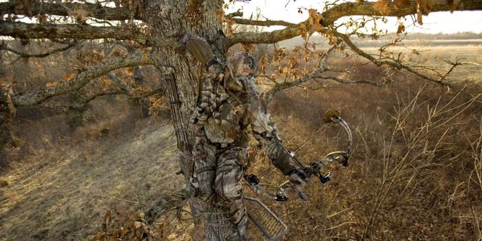 1920x1080 Group Of Bow Hunting Desktop Wallpaper Hoyt Wallpaper - Bow