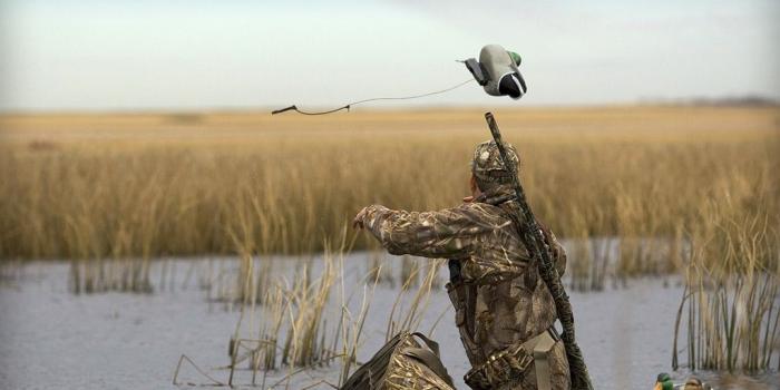 1024x768 Best 23+ Waterfowl Hunting Wallpaper on HipWallpaper | Waterfowl