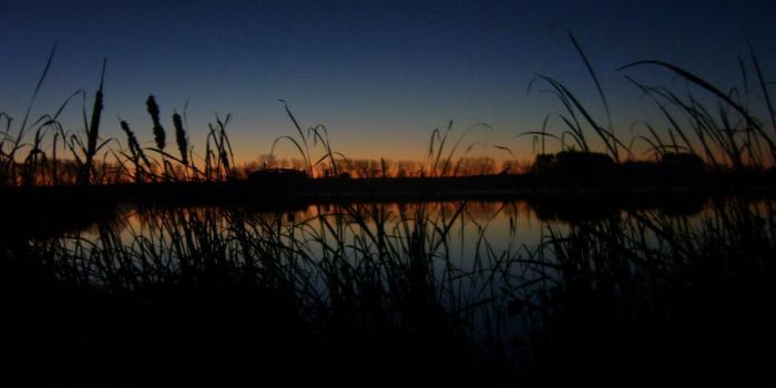 1600x1200 Duck Hunting Backgrounds