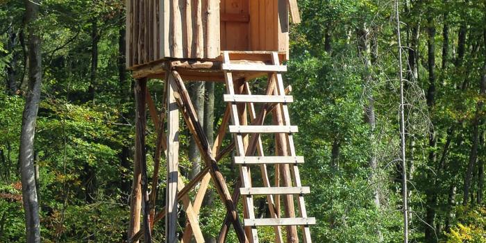 910x1365 HD wallpaper: hunter seat, delight, perch, hunting seat, hunter