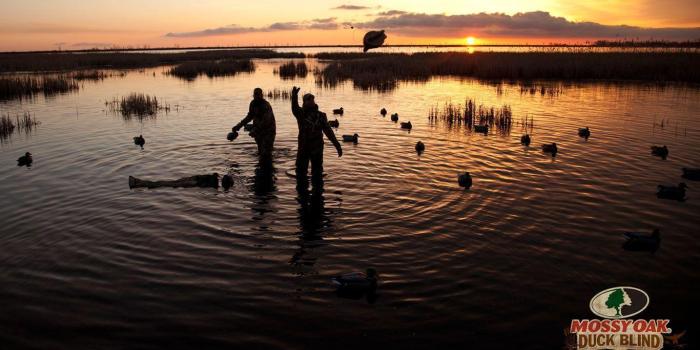 1366x768 Duck Hunting Backgrounds