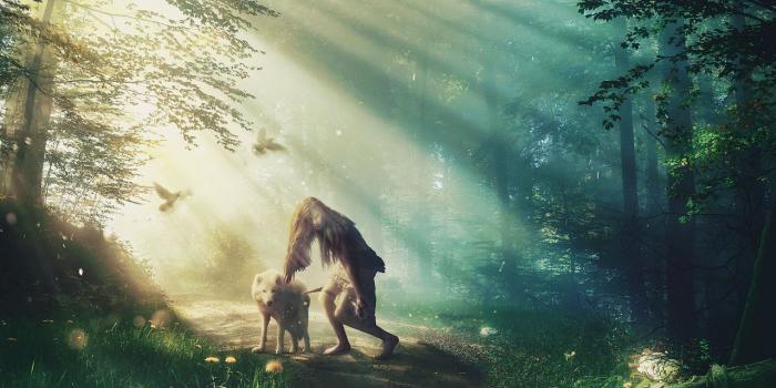 1280x720 Wallpaper Hunter, Arctic wolf, White wolf, Surreal, HD, Fantasy