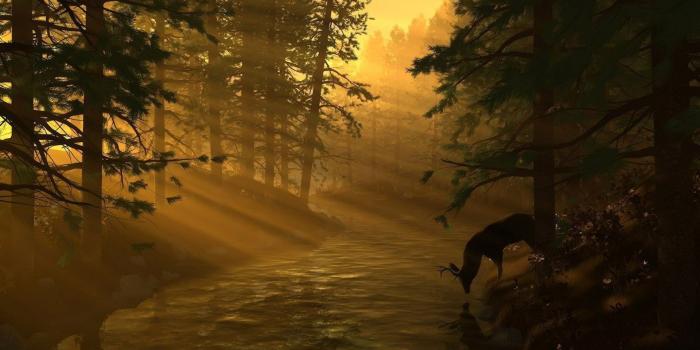 1920x1080 Hunting wallpaper ·① Download free beautiful HD wallpapers for