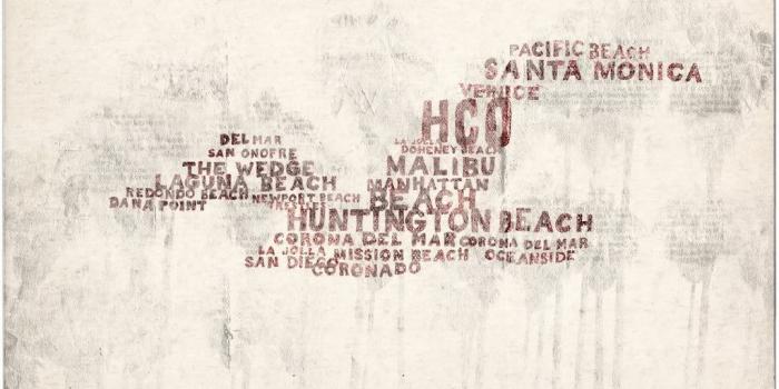 1024x819 Hollister Bird. | Cute backgrounds for phones, Hollister, Cute