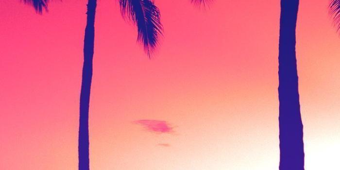 744x1392 Summer iPhone Wallpapers Group (76+)