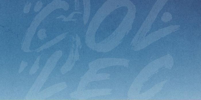 2000x505 Jeans & Denim for Girls & Guys | Hollister Co.<br/>