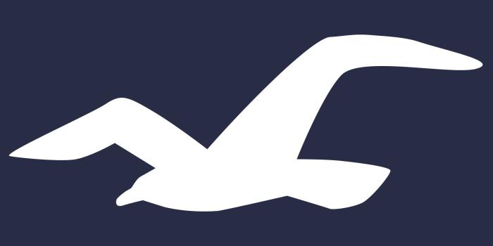 1920x1080 Meaning Hollister logo and symbol | history and evolution