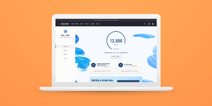 2048x1536 Hollister Loyalty Restyle — Work