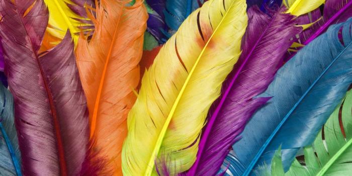 1440x900 Hollister ♥ | ♥ Just Girly Stuff ♥