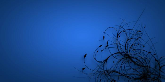 1920x1080 Best 46+ Colorguard Backgrounds on HipWallpaper | Colorguard