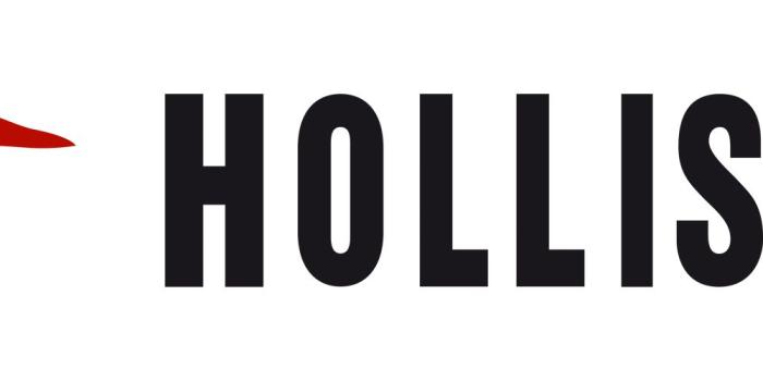 2000x500 Holister Logo - LogoDix