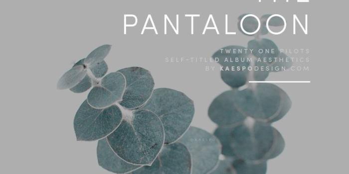 750x1333 pantaloon | Twenty one pilots lyrics, Twenty one pilots, Twenty